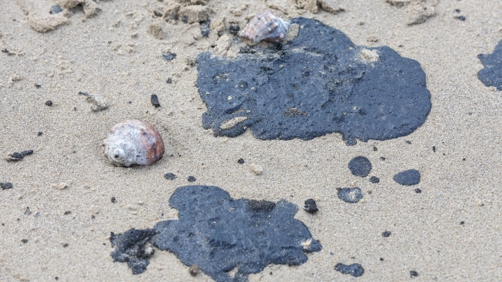 В бухте Панагия появились участки без мазута. Вывезено 1.6 тысячи тонн водонефтяной смеси