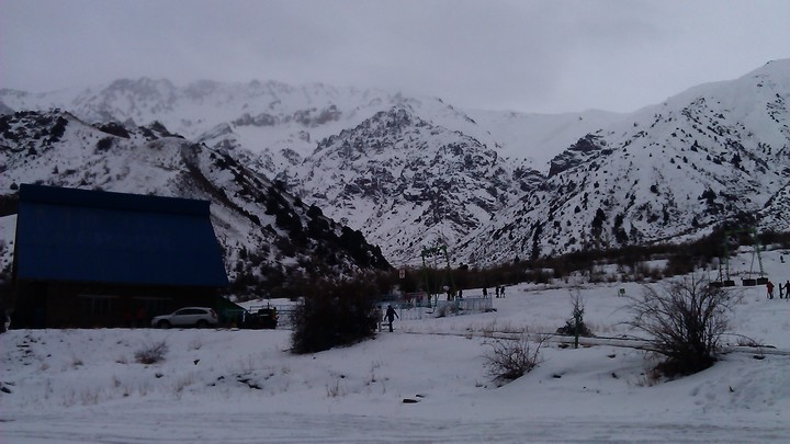 Учёные назвали пять климатических катастроф, угрожающих Земле до 2030 года