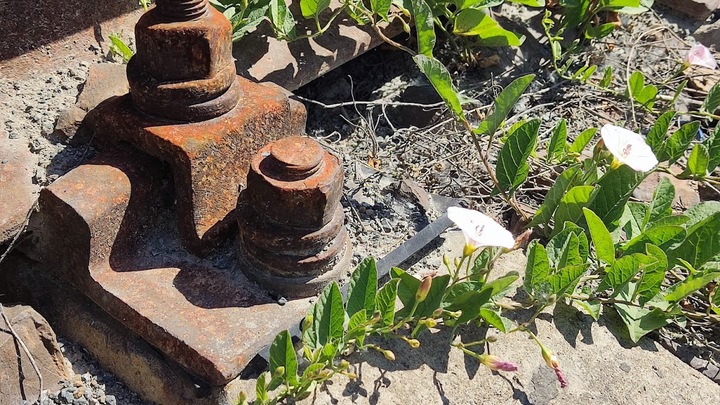 Владельцы химзавода на Фабричной в Новосибирске рассказали о планах на будущее