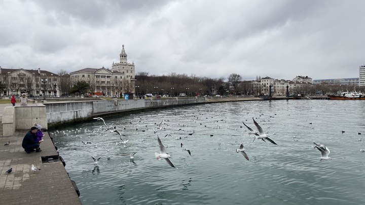 В Новороссийске новые гостиницы разместят на территории заброшенного рыбзавода