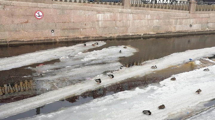 Зима возвращается в ночи: чем чреваты для здоровья мартовские перепады температур