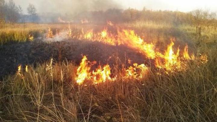 За сутки в Ивановской области зафиксировано более 50 возгораний сухой травы