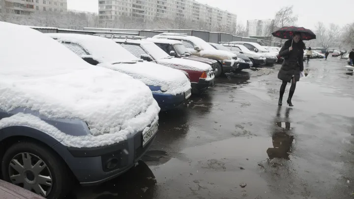 Зима застряла: Москву ждет аномальный декабрь без снега и мороза