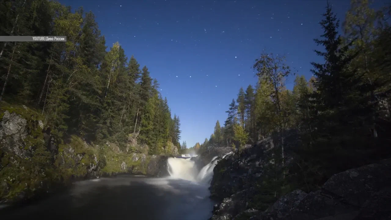 Чтобы не кусали комары: таёжный дедовский способ