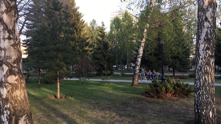 Нашествие змей началось в Новосибирской области
