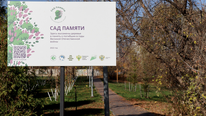 В Запорожской области проходит акция Сад памяти