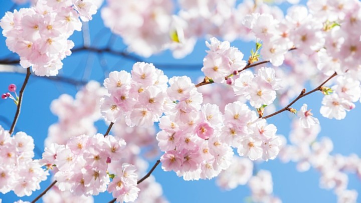 Политический кризис в Южной Корее: Президент отстранён, глава правящей партии уходит в отставку