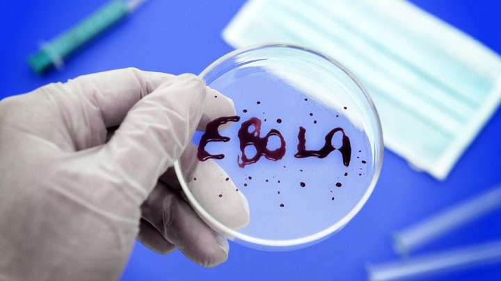 Медик сравнил новый штамм омикрон с вирусом Эбола: Мир недооценил