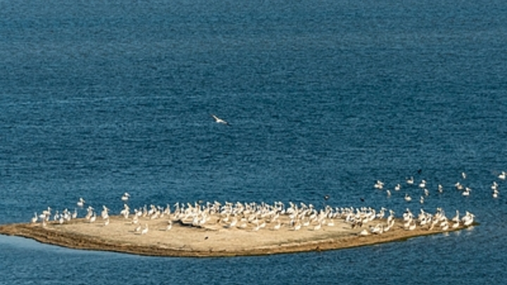 Пожаров будет всё больше: В Астрахани предупредили об эффекте от обмеления Каспия