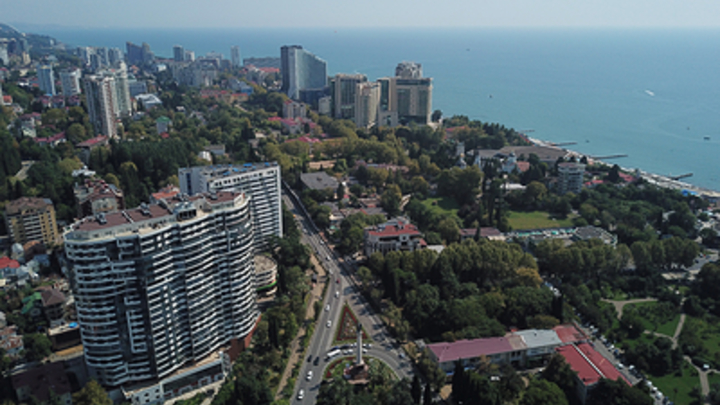 Сочи захватили птицы: Видео от жителей опустевшего города