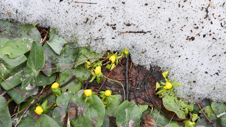 Не спешите убирать куртки: Синоптик предупредил о неизбежном природном явлении