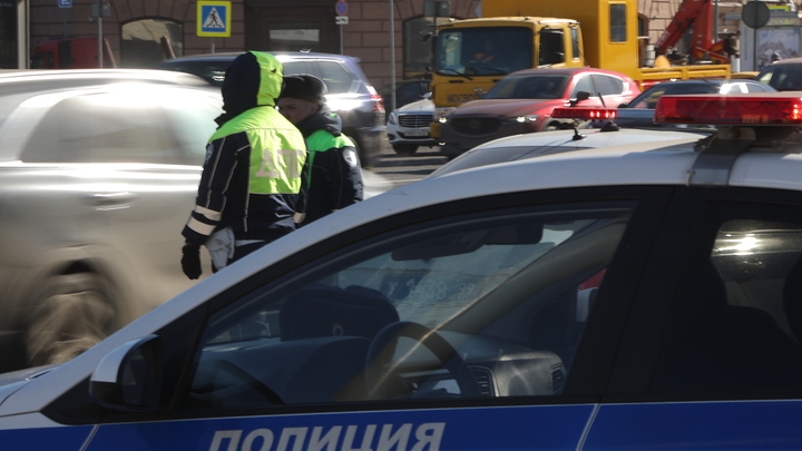 Фермера из Иркутска обвиняют в убийстве пса Йоко из-за индюшек: Написано заявление в полицию