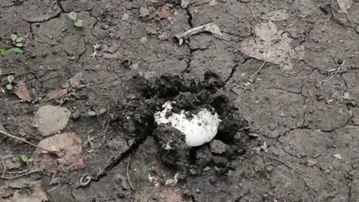 Суд требует с семьи из Челябинской области 271,5 млн рублей за уничтожение плодородного слоя почвы