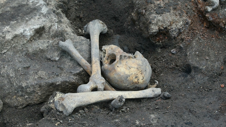 Археологическая находка в России заставила учёных пересмотреть ход истории: Что нашли под Орлом?