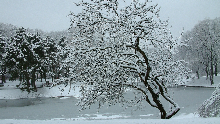 Два ребенка выбрались из воды, третий – утонул: В Тихорецке подростки провалились под лед