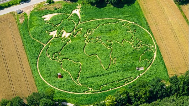 Казус географии на улице в США: Украина и Россия поставили американцев в тупик