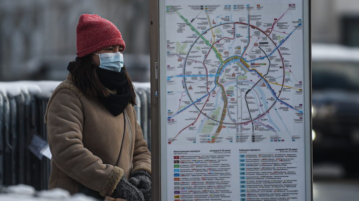 Гинцбург рассказал об уникальном способе передачи антител к коронавирусу