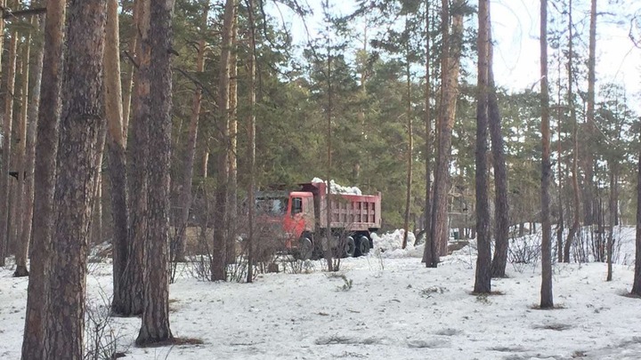 В Челябинске грузовик без номеров сваливает грязный снег в городском бору