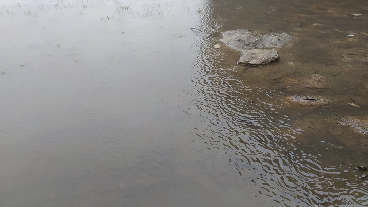 Уровень воды в реках Крымского района стабилизировался