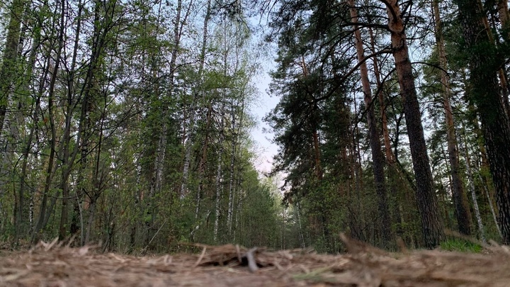 В Самарской области объявили высокую пожарную опасность