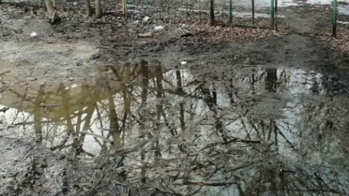 У нас вода в кранах грязная: прокуратура проверит жалобы на Агрофирму Ариант 