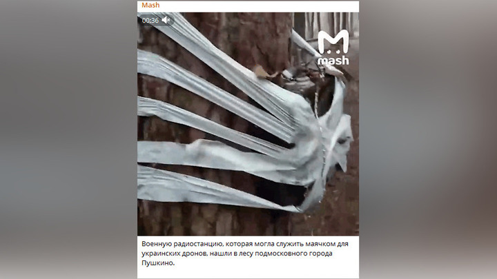 Подозрительную старую военную радиостанцию и чемодан нашли в подмосковном Пушкино