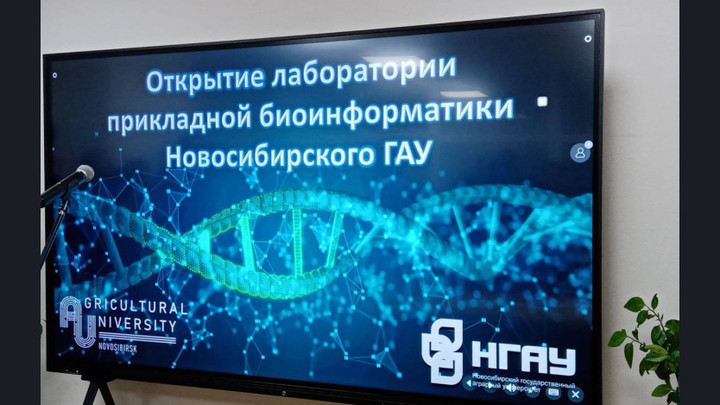 Цифровая трансформация пришла в сферу селекции племенных животных Новосибирской области