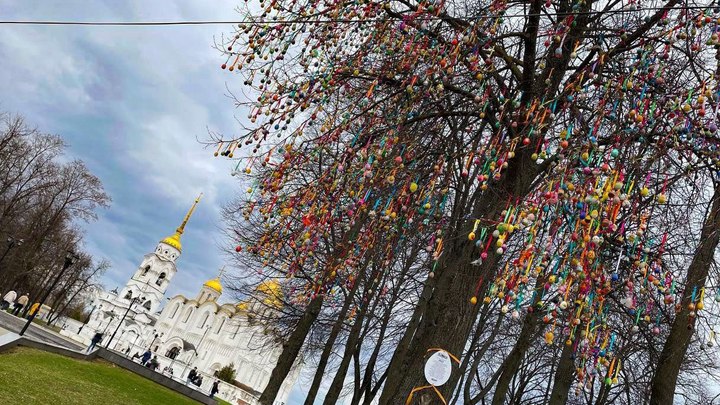 Во Владимире расцветёт «Пасхальное дерево» с 10 тысячами яиц