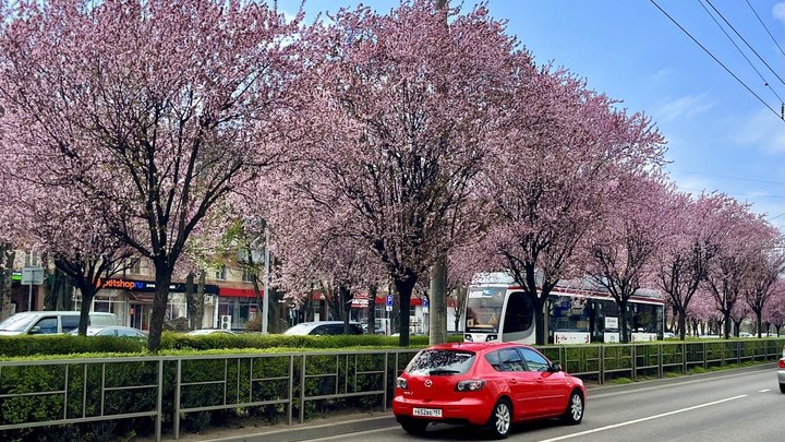 В феврале на Кубани морозы сменятся жарой