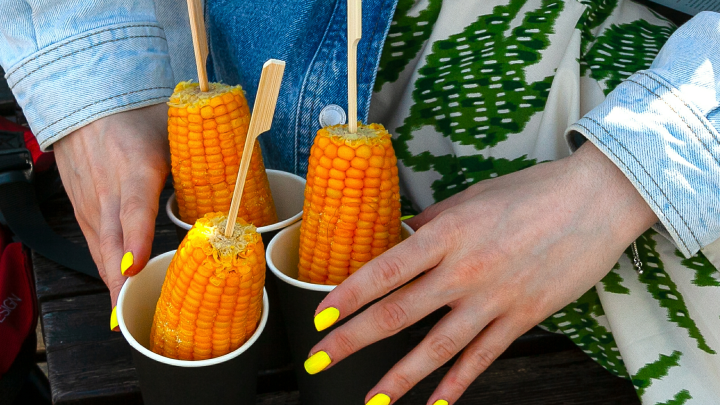 Кукуруза будущего: в Кабардино-Балкарии учёные создали новые сорта кукурузы и обещают рекордный урожай уже осенью