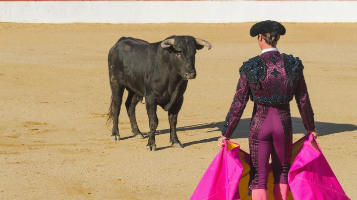 В Перу сняли на видео нападение быка на мужчину во время фестиваля