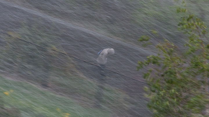 Михаил Леус: смерчи будут появляться чаще на территории Москвы и области