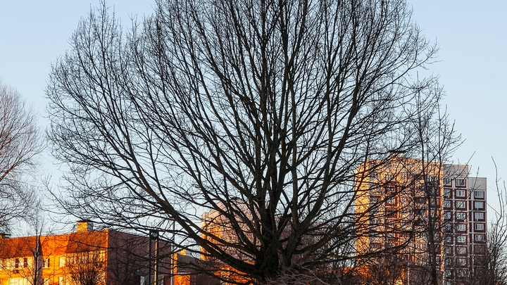 Синоптики пообещали уральцам рекордно тёплую погоду