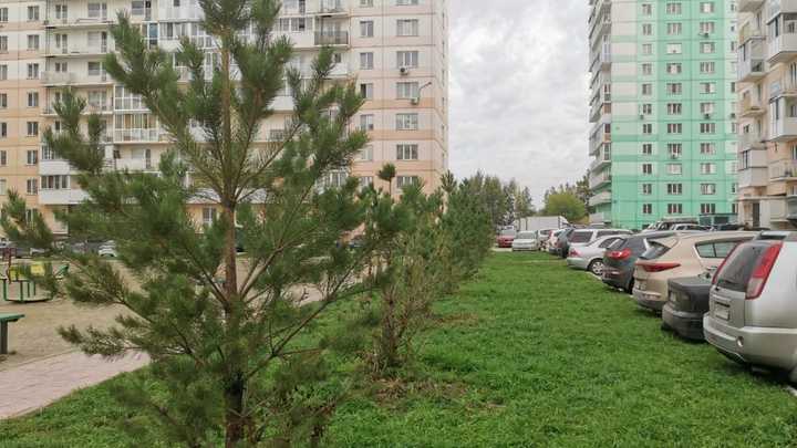 В полиции рассказали об убийстве женщины её мужем во дворе дома в Новосибирске