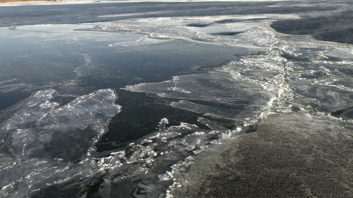 Вода в Московской области в Оке поднялась за сутки на метр