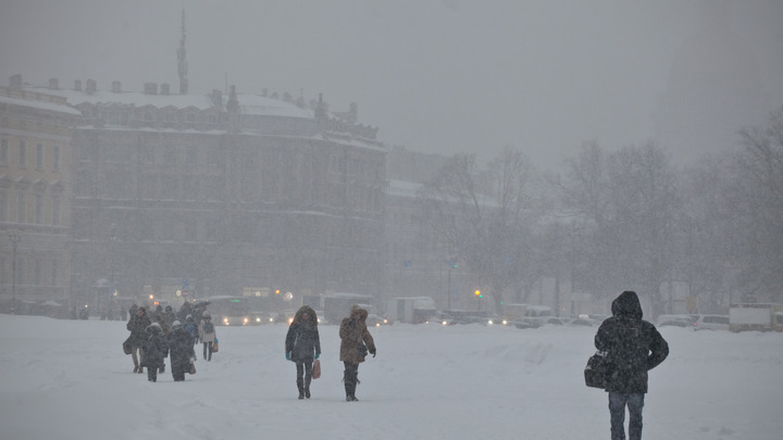 Петербургские рестораторы взвыли от решения властей о летних верандах в январе: Жёсткое глумление
