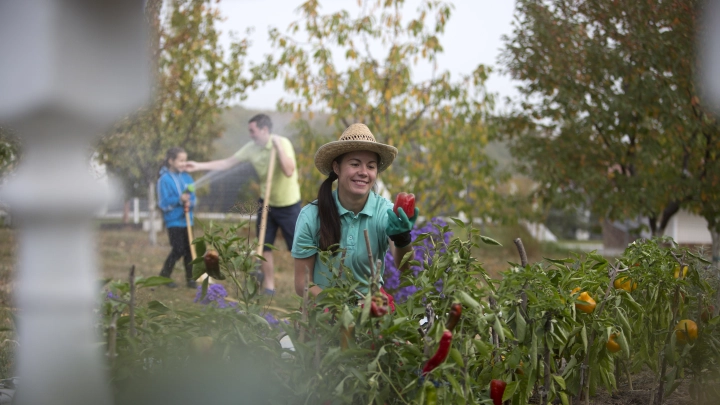 Чиновники объявили войну многодетной семье: Предлог поражает. Судам конца и края не видно