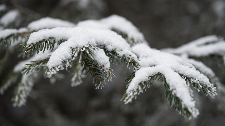 Шесть регионов России посинеют от холода: Синоптик заявил об аномалии