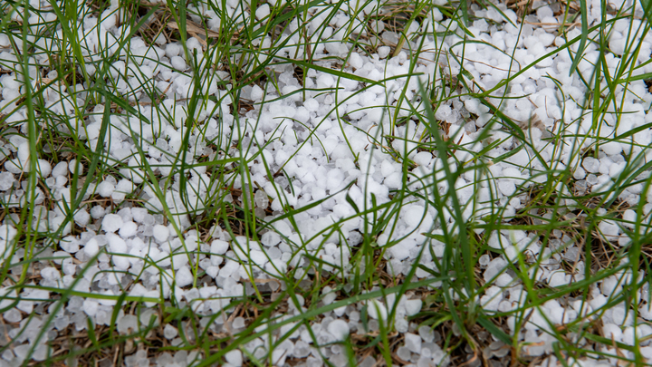В горах Сочи выпал град размером с перепелиное яйцо