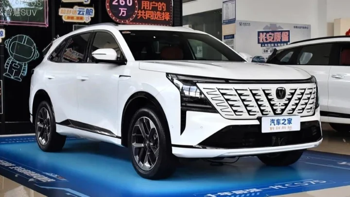 SHOT: китайские авто столкнулись с проблемами в русские морозы