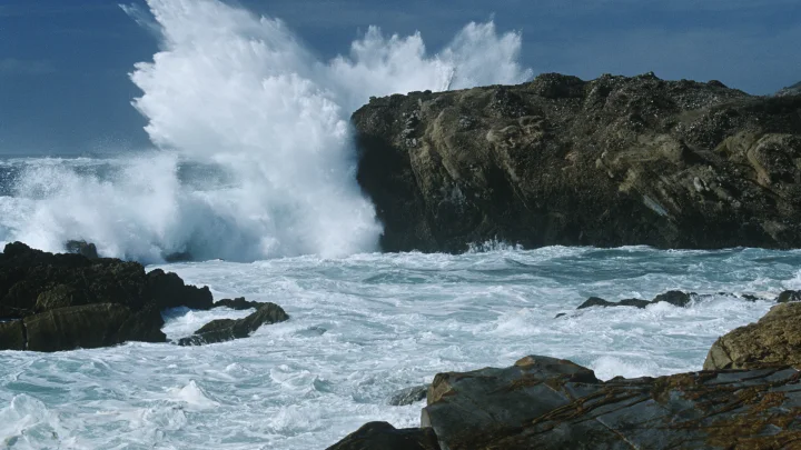 Камчатское цунами достигло США: В Калифорнии напряглись