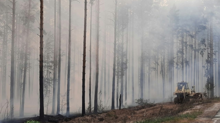 В горящем лесу на Урале нашли газовые баллоны: предполагаемые поджигатели задержаны