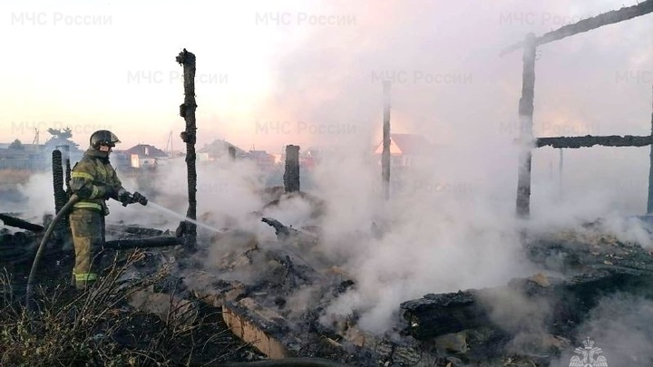 В Новосибирской области школьница спаслась из горящего бревенчатого дома