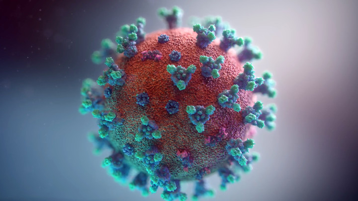 Патологоанатомы сообщили о подозрительной побочке от западных вакцин