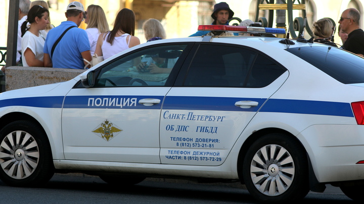 С кайфом и без прав. Пьяных мигрантов ловили со стрельбой под Петербургом