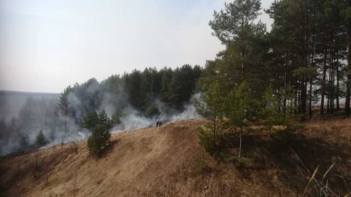 В Нижегородской области ожидается пожароопасная погода