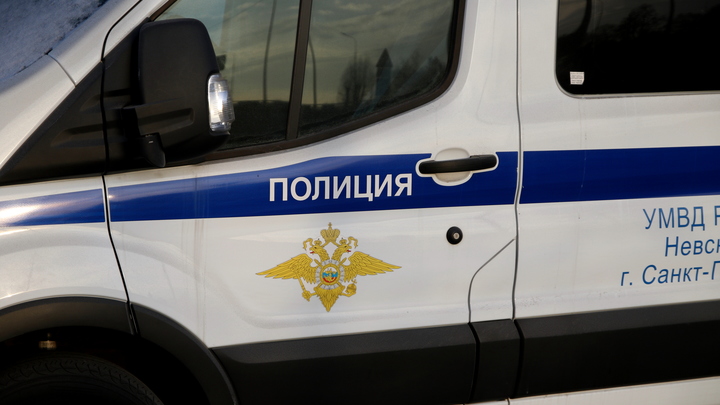 В Петербурге объявили план Перехват, чтобы поймать трех грабителей, избивших курьера