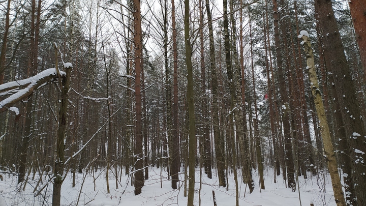 На Урале найден труп мужчины, погибшего несколько месяцев назад