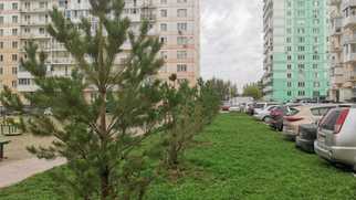 Фото Мжк Новосибирск Фото Мжк Новосибирск