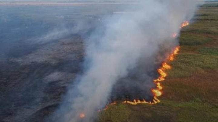 В Самарской области горит камыш в Кинельском районе: 700 квадратных метров огня